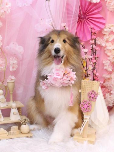 20250320リクくん